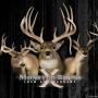 Timothy Havens Photo 16