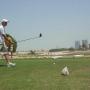 Mark Upton Photo 11