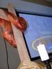 Timothy Falk Photo 15