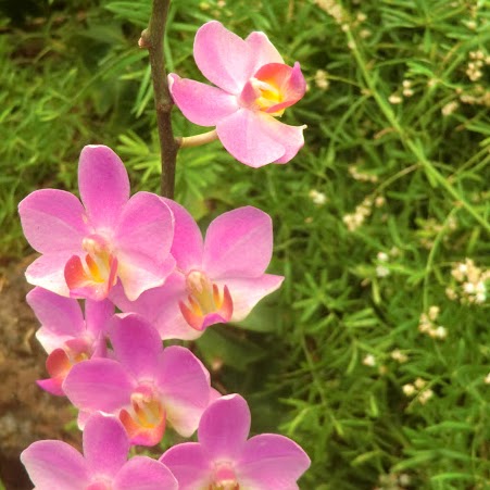 Remedios Fuentes Photo 9