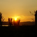 Nan Rush Photo 18