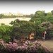 Leng Tang Photo 25