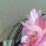 Patricia Garcia Photo 26