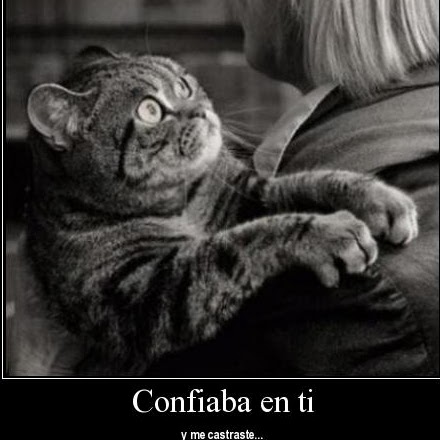 Arturo Tovar Photo 14