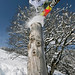 Chris Stump Photo 36