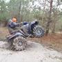Roy Koonce Photo 9