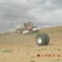 Terry Harding Photo 23