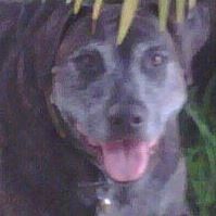 Bette Moore Photo 5