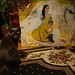 Art Medina Photo 19