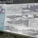 Willie Packer Photo 16