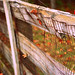 Jamie Dent Photo 37