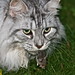 Kitty Welch Photo 32