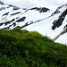 Robert Mounts Photo 33