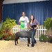 Tammy Mercer Photo 36