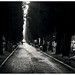 Michele Black Photo 43