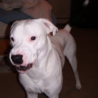 Lloyd Harley Photo 3