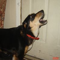 Eileen Cameron Photo 8