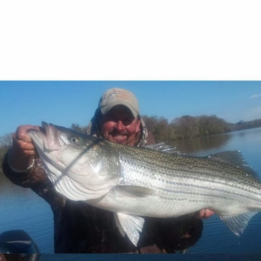 Billy Flatt Photo 4