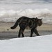 Casey Palmer Photo 41