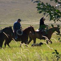 Cindy Pederson Photo 6