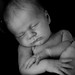 Jacob Lance Photo 27
