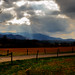 Ray Schaefer Photo 33
