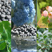 Berry Barbour Photo 11