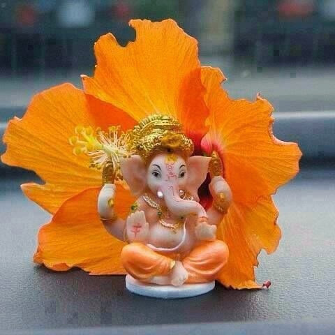 Manisha Parekh Photo 15