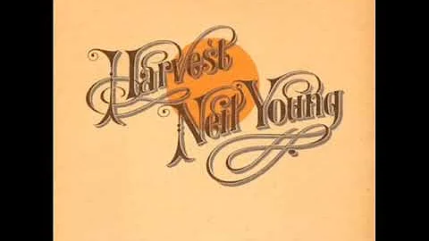 Nelly Young Photo 18