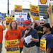 Curtis Millard Photo 22