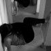 Viviana Ramirez Photo 40