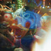 Donald Luce Photo 16