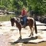 Kathie Ball Photo 9