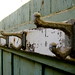 Rusty Campbell Photo 42