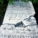 Ann Hewitt Photo 30
