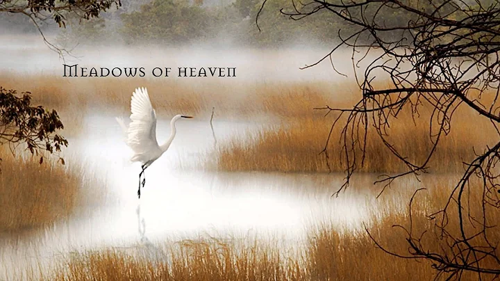 Annette Meadows Photo 23