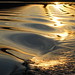 Marianne Wills Photo 14