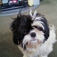 Sherry Stanley Photo 6