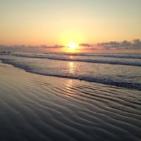 Lisa Anthony Photo 6