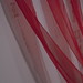 Lesley Palmer Photo 33