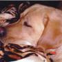 Kathleen Decker Photo 22