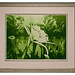 Courtney Shepard Photo 37