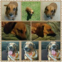 Sherry Lanham Photo 4