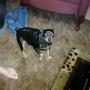 Sheila Pickett Photo 18
