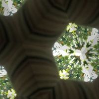 Maria Wiegand Photo 3