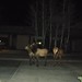 Diane Estes Photo 36