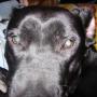 Craig Bloom Photo 27