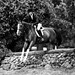 Annie Reed Photo 41