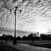 Dawn Parker Photo 46