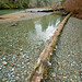 Cameron Macmillan Photo 24
